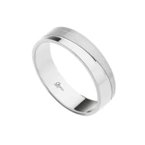 Alianza de Plata Perfil Plano – Modelo 302